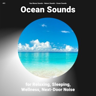 #01 Ocean Sounds for Relaxing, Sleeping, Wellness, Next-Door Noise