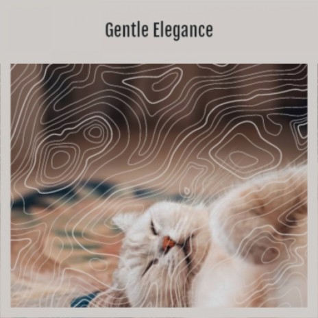 Gentle Elegance | Boomplay Music