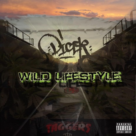 wild lifestyle | Boomplay Music