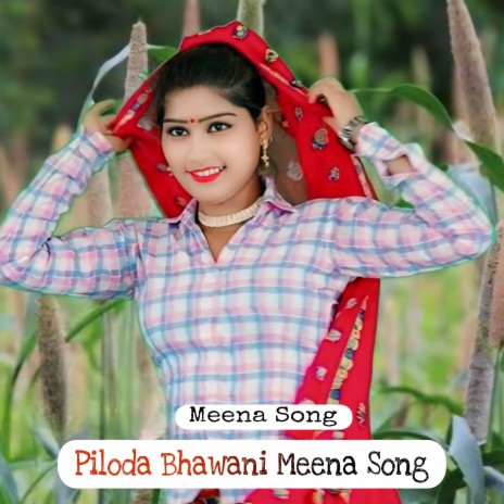 Piloda Bhawani Meena Song