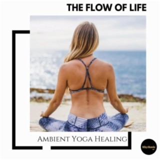 The Flow of Life: Ambient Yoga Healing