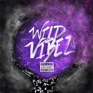 WILD VIBEZ lyrics | Boomplay Music