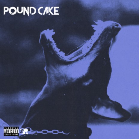 Pound Cake | Boomplay Music