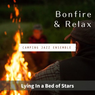 Bonfire & Relax - Lying In a Bed of Stars