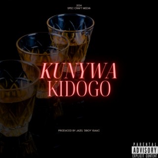 Kunywa kidogo