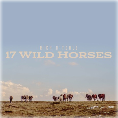 17 Wild Horses | Boomplay Music