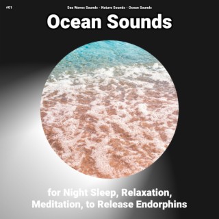 #01 Ocean Sounds for Night Sleep, Relaxation, Meditation, to Release Endorphins