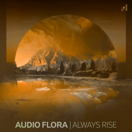 Always Rise (Radio Edit) | Boomplay Music