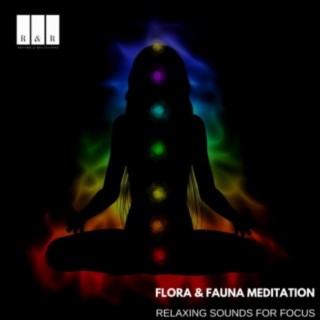 Flora & Fauna Meditation: Relaxing Sounds for Focus