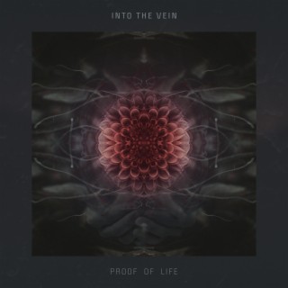 Into The Vein