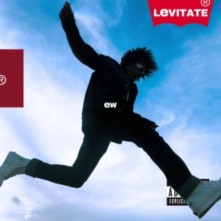 Levitate lyrics | Boomplay Music