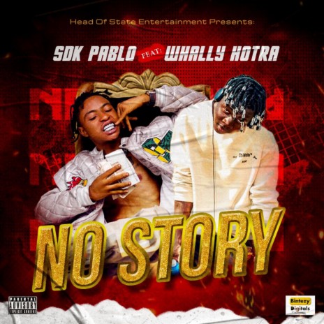 NO STORY (feat. Whally Hotra) | Boomplay Music