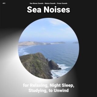 #01 Sea Noises for Relaxing, Night Sleep, Studying, to Unwind