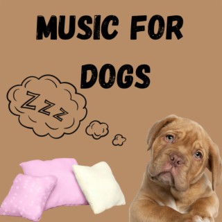 Music For Dogs (Vol.99)