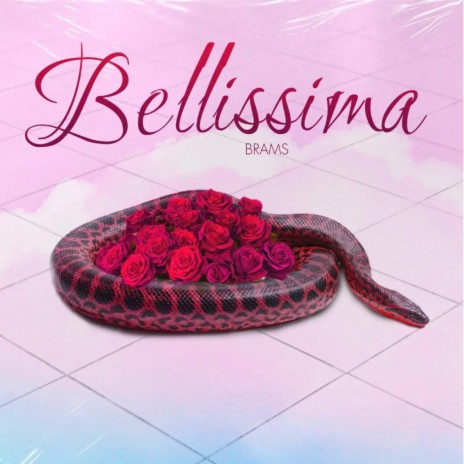 Bellissima | Boomplay Music