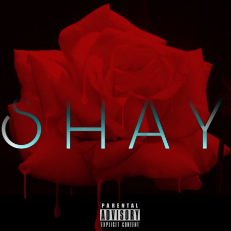 Shay | Boomplay Music