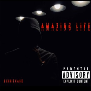 Amazing Life lyrics | Boomplay Music