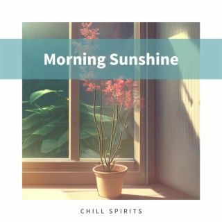 Morning Sunshine