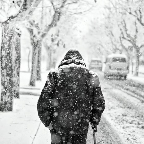 雪（埋葬所有）