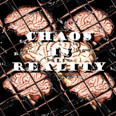 Chaos Is Reality | Boomplay Music