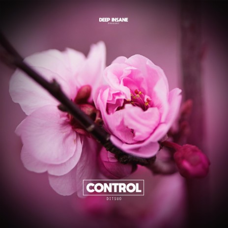 Control | Boomplay Music