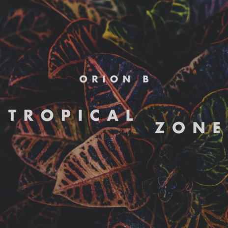 Tropical Zone