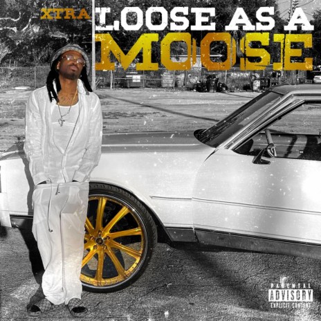 Loose as a moose | Boomplay Music