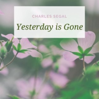 Yesterday is Gone