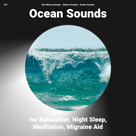 Ocean Sounds for Spa ft. Sea Waves Sounds & Nature Sounds