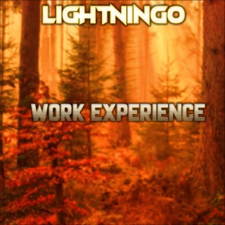 WORK EXPERIENCE EP (2024 REISSUE)