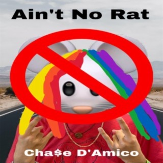 Ain't No Rat