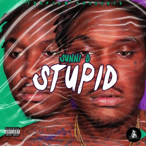 stupid | Boomplay Music