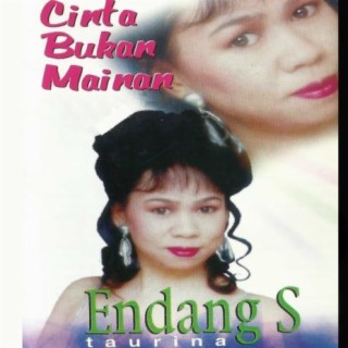 Endang S Taurina