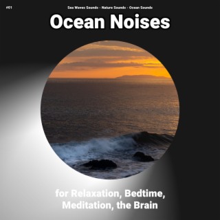 #01 Ocean Noises for Relaxation, Bedtime, Meditation, the Brain