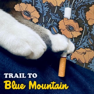 Blue Mountain lyrics | Boomplay Music