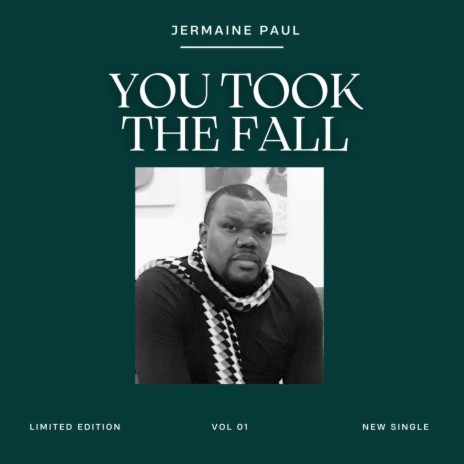 You Took The Fall | Boomplay Music