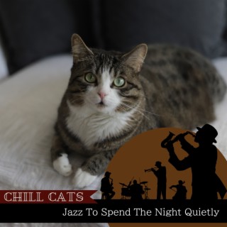 Jazz To Spend The Night Quietly