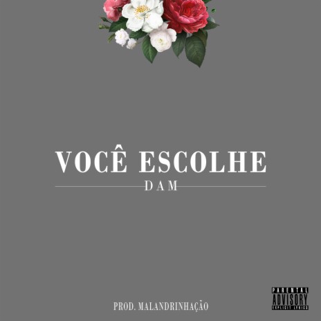 Você Escolhe | Boomplay Music