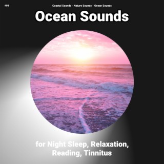 #01 Ocean Sounds for Night Sleep, Relaxation, Reading, Tinnitus