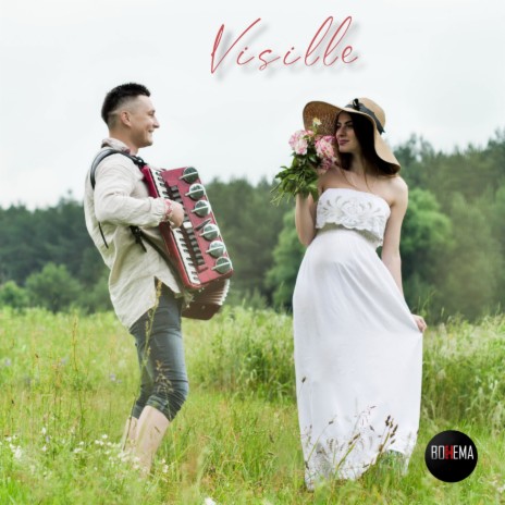 Visille | Boomplay Music