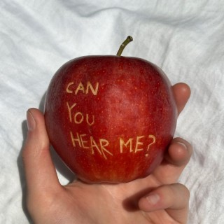 can you hear me?