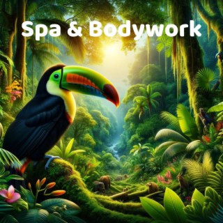 Spa & Bodywork: Revitalization Frequencies, Peaceful Wellness Oasis with Nature Sounds