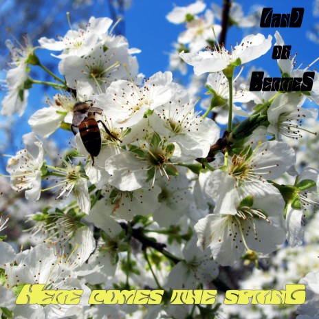 Here Comes the Spring | Boomplay Music