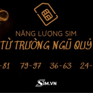 Duy Khánh SIMVN giới thiệu về từ trường Ngũ Quỷ trong sim số điện thoại