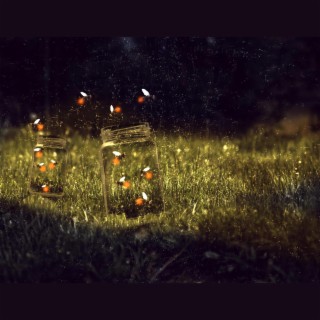 Fireflies