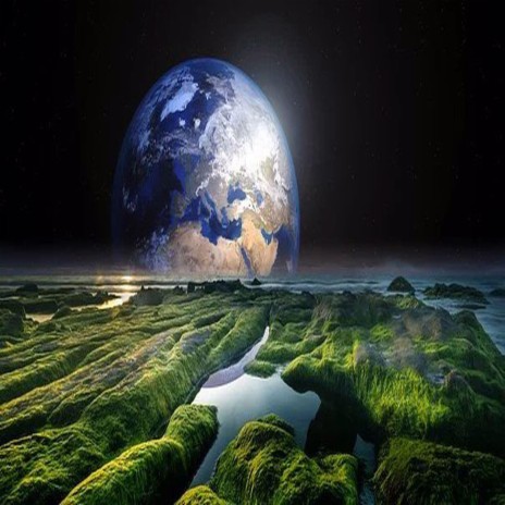 A New Earth