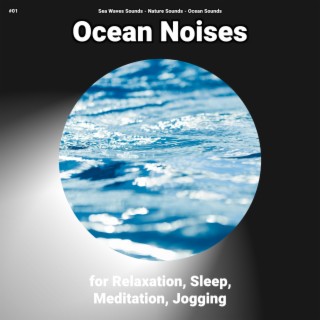 #01 Ocean Noises for Relaxation, Sleep, Meditation, Jogging