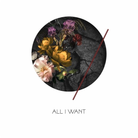All I Want ft. Billy DiMirra | Boomplay Music