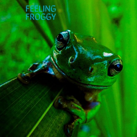 Feeling Froggy