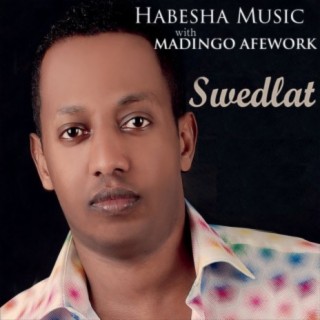 Habesha Music